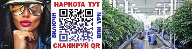 Купить закладку Cocaine Псилоцибиновые грибы Марихуана Меф Дыгулыбгей