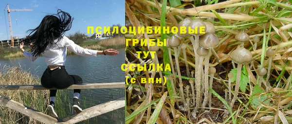 спайс Заволжск
